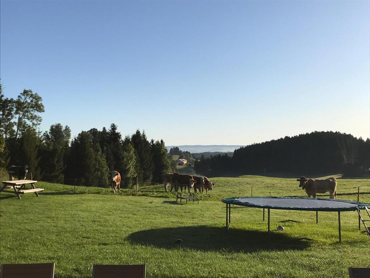 Gmeinder'S Landhaus Immenstadt im Allgäu Εξωτερικό φωτογραφία